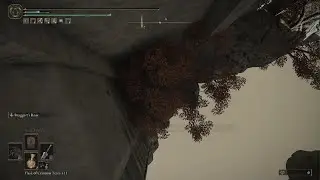 Elden Ring Invasions PvP - Some 3v1s Are Easier Than Others