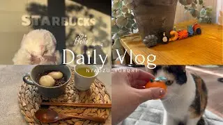 〈VLOG〉スタバ期間限定品の濃厚抹茶ティラミス🍵完売続出のガチャ大捜索！波乱の3連休とどんと祭