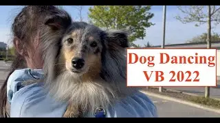 Dog Dancing Világbajnokságon jártunk (és egy kis meglepetés a videó végén)
