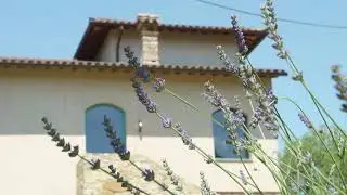 Oasi Stay - Soggiorni nelle Oasi WWF - Torre del Tabacco&nbsp;- La Malcontenta e il Lupo #todi #umbria