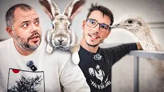 Rom&acirc;nia care NU apare la știri: FERMIER la 28 de ani, un exemplu pentru TOȚI!🇷🇴