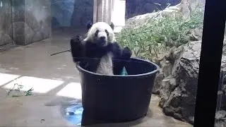 Bei Bei 3/5/17