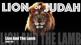 Lion And The Lamb