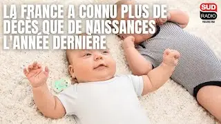 La France a connu plus de d&eacute;c&egrave;s que de naissances l'ann&eacute;e derni&egrave;re