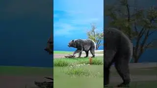 How Bear Traps Work 😯 omg