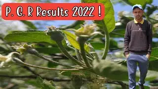 Petal Fall Spray in Apple 2022