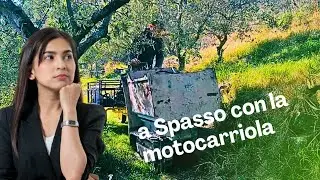 Motocarriola cingolata idrostatica messersi con carrello rimorchio 