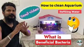 How to clean Fish Tank - Aquarium Cleaning - Love Over Travel - Fish - Tamil Review - Exotic Pet