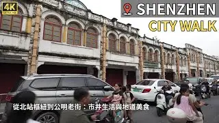 Walking Shenzhen: High-Speed Rail Hub, Gongming Old Street & Local Squab