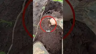 Находка металлоискателя (@thexfindings)