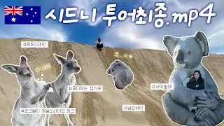 🇦🇺호주 시드니 Day2. 캥거루랑 찐친 먹고 사막에서 굴러버리기 | 포트스테판 사막썰매+오크밸리 동물원+넬슨베이 카페