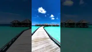Maldives beach Resort #shorts #maldives #beach