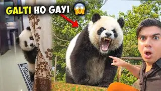 Panda Baby ke saath ye problem aa gayi 😱 | Sw Pet House