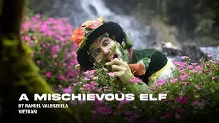 A mischievous Elf. By Nahuel Valenzuela