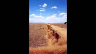 Serrated Tussock VSTWP Introduction Voiceover