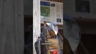 Вот лишь некоторые из проблем, с которыми я столкнулась при составлении плана питания на WAT&hellip; под...