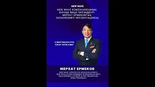 New Wave бизнесіндегі мүмкіндіктер мен маркетинг-жоспардың толық түсіндірмесі