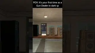 POV: It's your first time playing as Gun Dealer in Gmod Dark rp