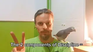 Framework - Two components of Discipline