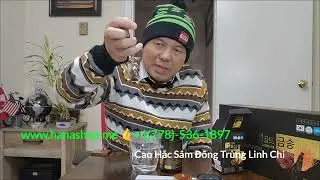 HanaShop: Cao Hắc S&acirc;m Đ&ocirc;ng Tr&ugrave;ng Linh Chi Đại H&agrave;n