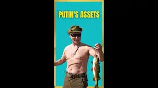 PUTIN'S ASSETS #putin #russia