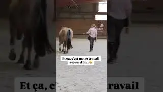 Les progr&egrave;s - Clicker Training - EquiProgress