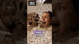 Did They Use Real Skeletons in Poltergeist?