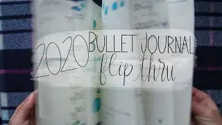 2020 Bullet Journal Flip Through || PLAN WITH ME