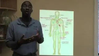 video tip lymphatic system for pain relief may 1 2014