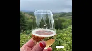 R&eacute;trospective 2024 pour Terra Vitis