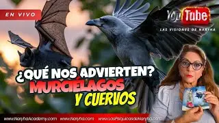 Significado de los #cuervos y #murciélagos, que #advierten y que se viene 😱 con #naryhacastañeda