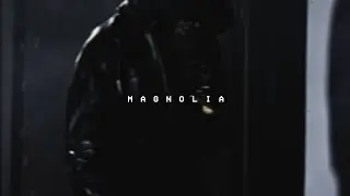 Playboi Carti - Magnolia (Remix)