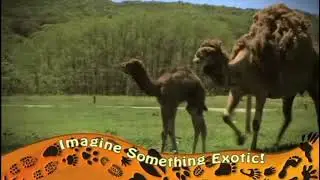 Hidden Valley Animal Adventure