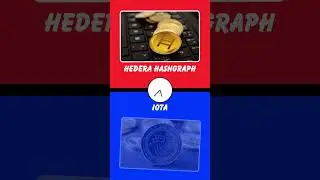 Hedera Hashgraph vs IOTA! 🌐 Blockchain Battle #shortvideo