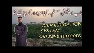 Drip irrigation system design,uses & advantages Complete guide & information, How does it work Part1