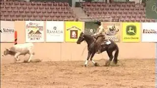 2010 Snaffle Bit Futurity High Score Fence Work