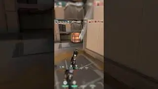 Operator Collateral with plastic Aim