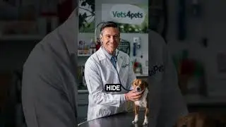Your pet trusts you even when they are in pain.#vets4pets #veterinarian