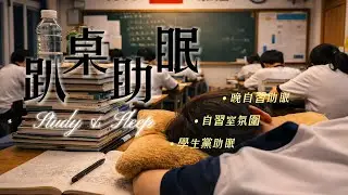 自習室氛圍助眠｜Study Room Sleepy Vibes 💤 Loop Live