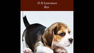 Rex by D.H. Lawrence | Full Audiobook