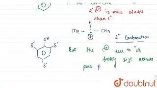 The names of reaction and intermediate species involved in the formation of (C ), respectively,...