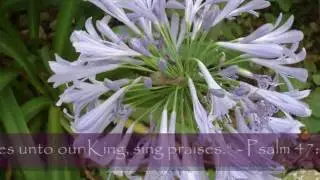 Hymns of praise - Foundations Pulpit - Worship Service: Congregational Anthem
