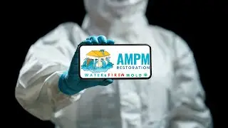 Watch Professionals Restore What Seems Ruined by Mold and Water