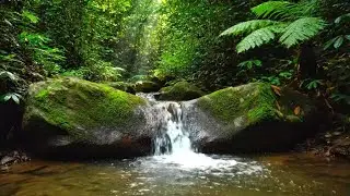 PEACEFUL RIVER FLOW, BIRDS CHIRPING AND SOFT PIANO FOR DEEP SLEEP AND NIGHT RELAXATION
