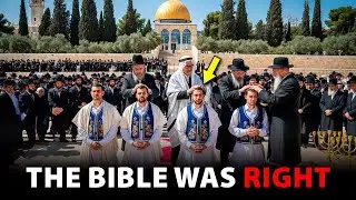 The Levite Priests of Israel Are Now Ready for the Third Temple in Jerusalem