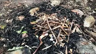 Video of Bearpen Gap Backcountry Site, NC from Asher K.