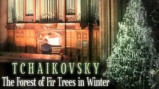 TCHAIKOVSKY - THE FOREST OF FIR TREES IN WINTER (THE NUTCRACKER) - ORGAN SOLO - JONATHAN SCOTT