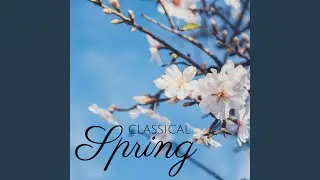 The Four Seasons, Concerto No. 1 in E Major, RV 269 