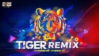 SET NHẠC CỦA DJ KS V&Agrave; MC MASTER B TẠI 🐯TIGER REMIX🐅 ĐẮK LẮK🐘 2026