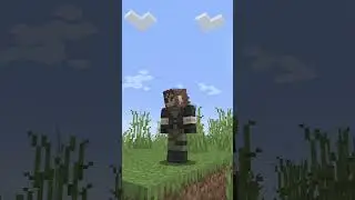 Weird Minecraft Stats... #shorts